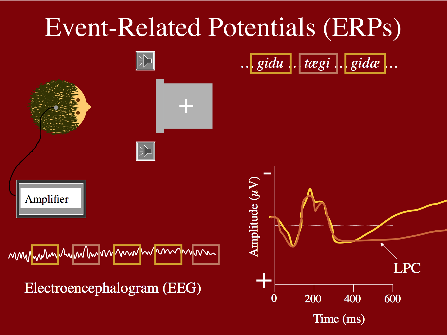 ERP